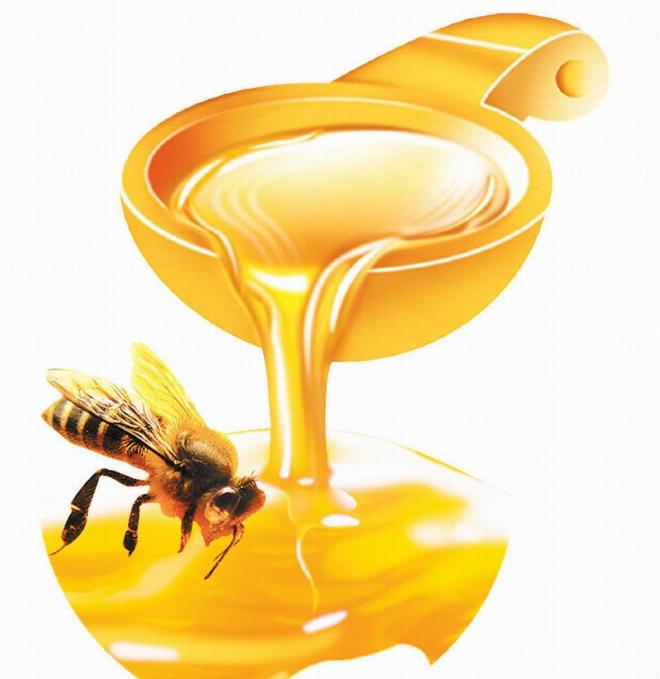 فوائد العسل لضعف التبويض