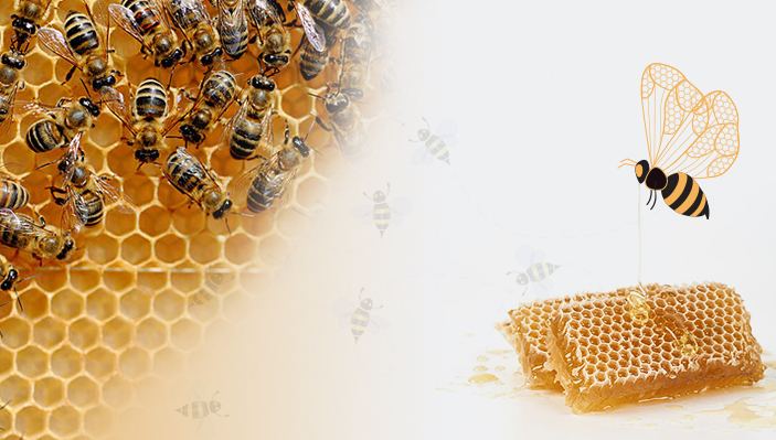 فوائد العسل لمرضى السرطان