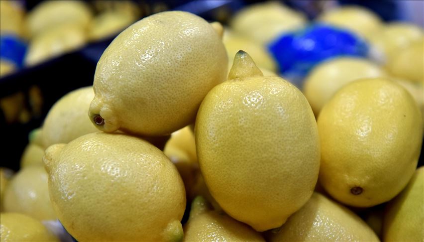 استيراد الليمون من تركيا 